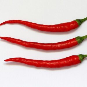 Laterna de foc Chili