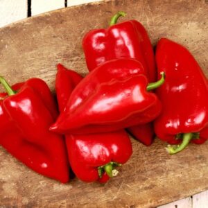 Roter Augsburger Paprika