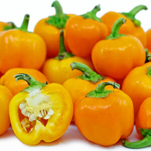 Sweet Julie Paprika