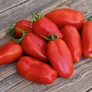 San Marzano Tomate